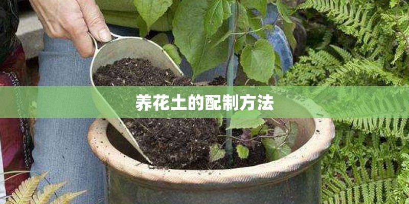 养花土的配制方法