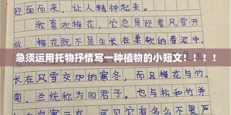 急须运用托物抒情写一种植物的小短文！！！！