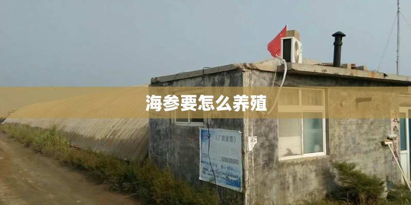 海参要怎么养殖