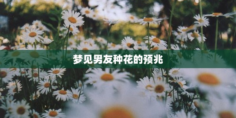 梦见男友种花的预兆