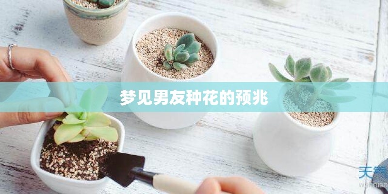 梦见男友种花的预兆