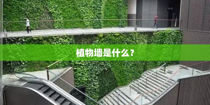 植物墙是什么？