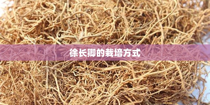 徐长卿的栽培方式
