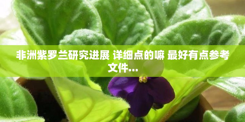 非洲紫罗兰研究进展 详细点的嘛 最好有点参考文件...