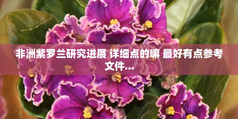非洲紫罗兰研究进展 详细点的嘛 最好有点参考文件...