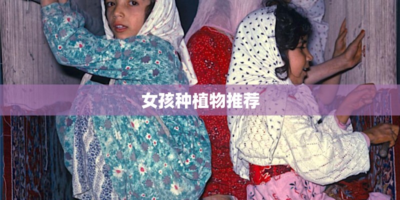 女孩种植物推荐