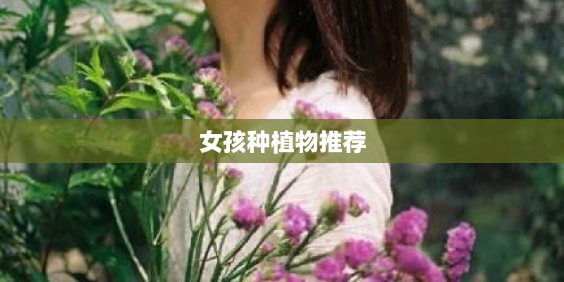 女孩种植物推荐