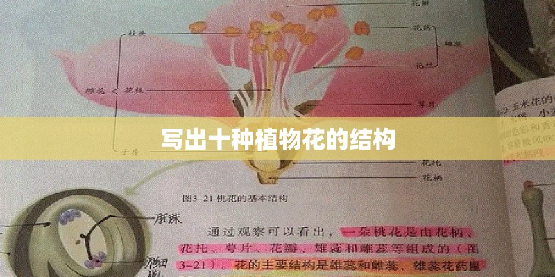 写出十种植物花的结构