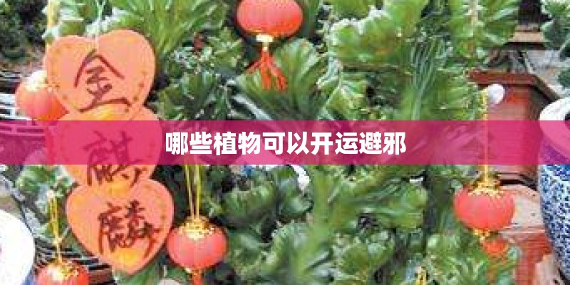 哪些植物可以开运避邪