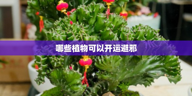 哪些植物可以开运避邪