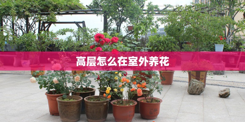 高层怎么在室外养花