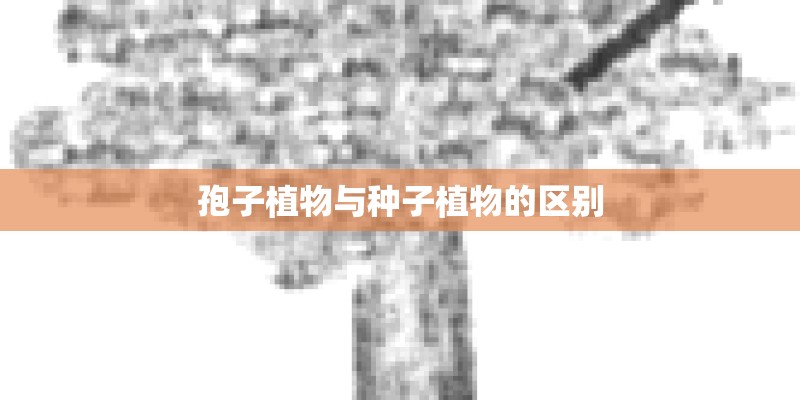孢子植物与种子植物的区别