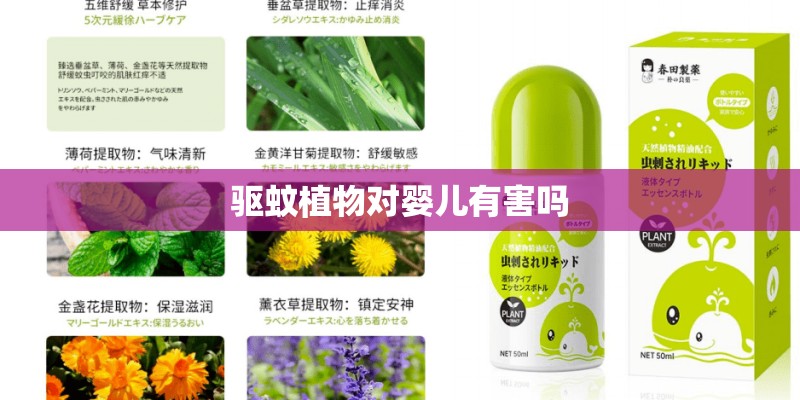 驱蚊植物对婴儿有害吗 驱蚊植物对婴儿有害吗