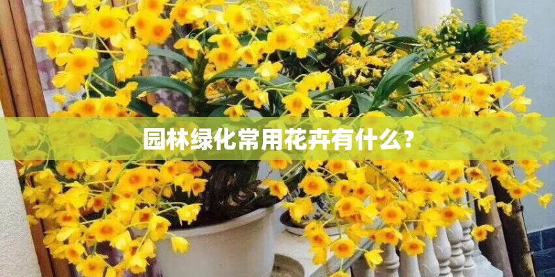 园林绿化常用花卉有什么？