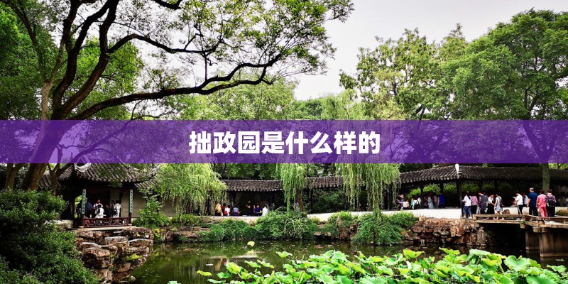 拙政园是什么样的