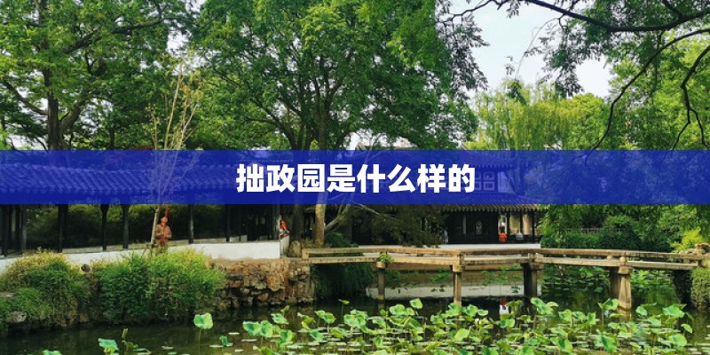 拙政园是什么样的 拙政园是什么样的