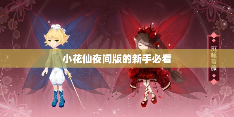 小花仙夜间版的新手必看