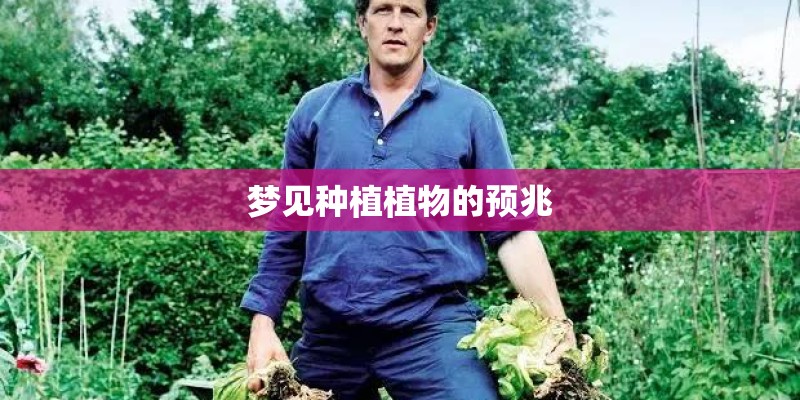 梦见种植植物的预兆