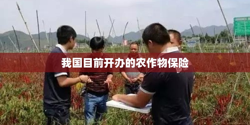我国目前开办的农作物保险