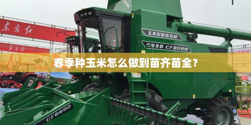 春季种玉米怎么做到苗齐苗全？