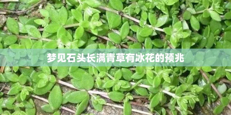 梦见石头长满青草有冰花的预兆
