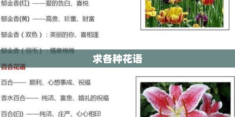 求各种花语