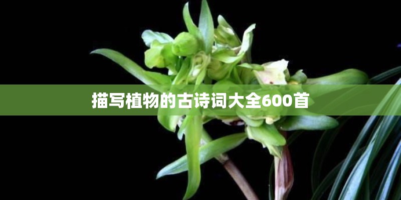 描写植物的古诗词大全600首 描写植物的古诗词大全600首