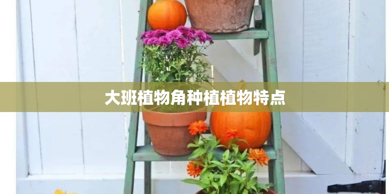 大班植物角种植植物特点