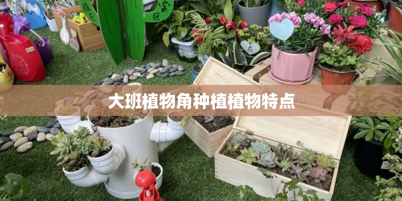 大班植物角种植植物特点