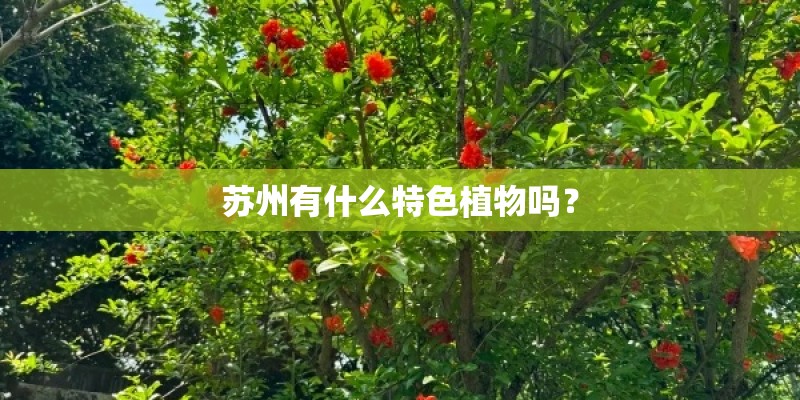 苏州有什么特色植物吗？