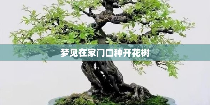 梦见在家门口种开花树