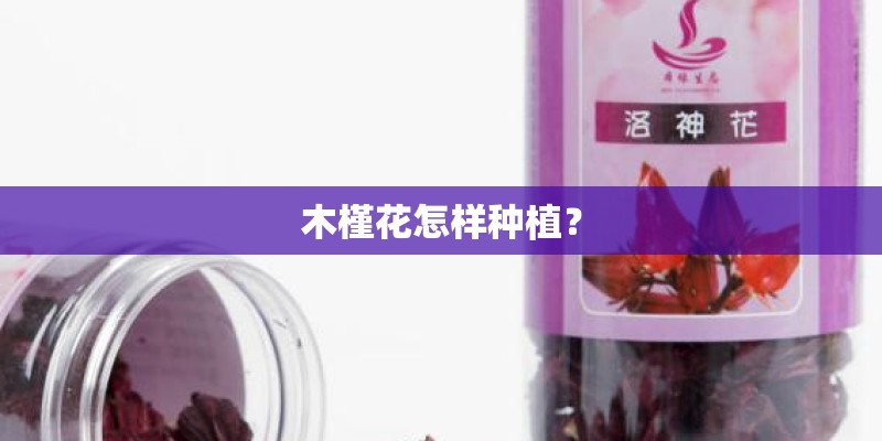 木槿花怎样种植? 木槿花怎样种植?