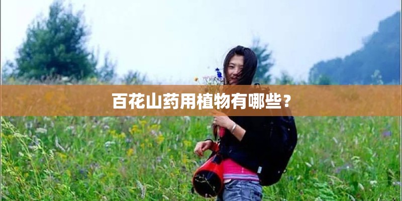 百花山药用植物有哪些？