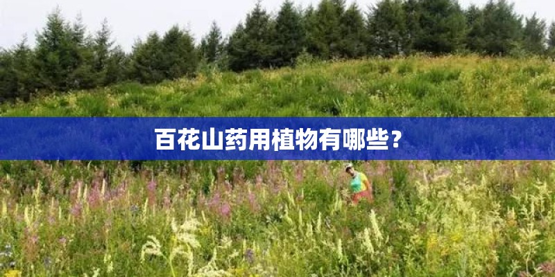 百花山药用植物有哪些？