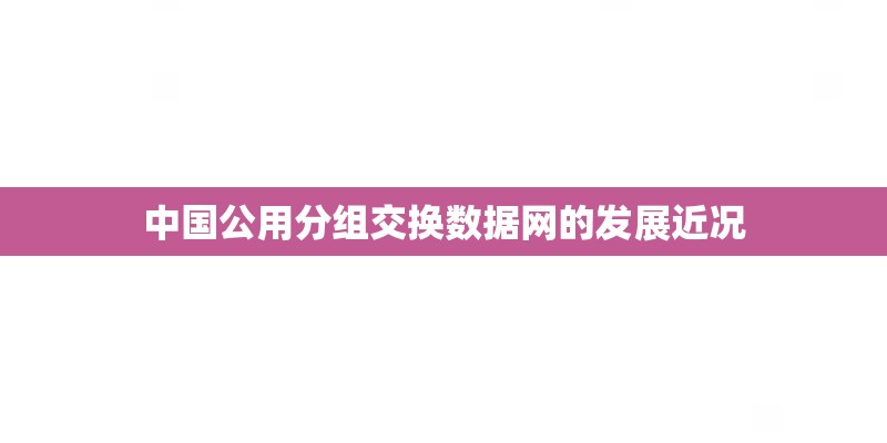 中国公用分组交换数据网的发展近况