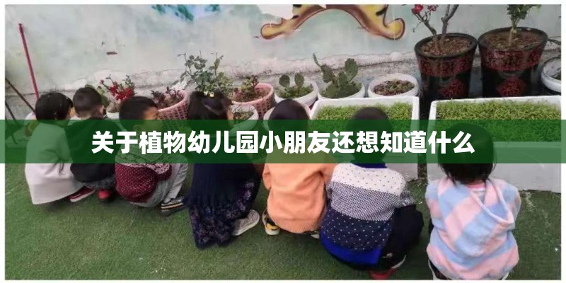 关于植物幼儿园小朋友还想知道什么