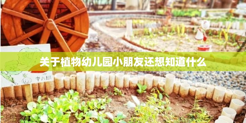 关于植物幼儿园小朋友还想知道什么