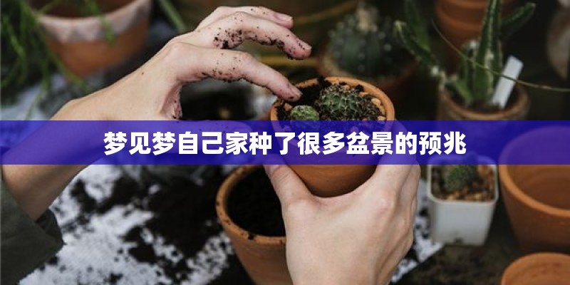 梦见梦自己家种了很多盆景的预兆