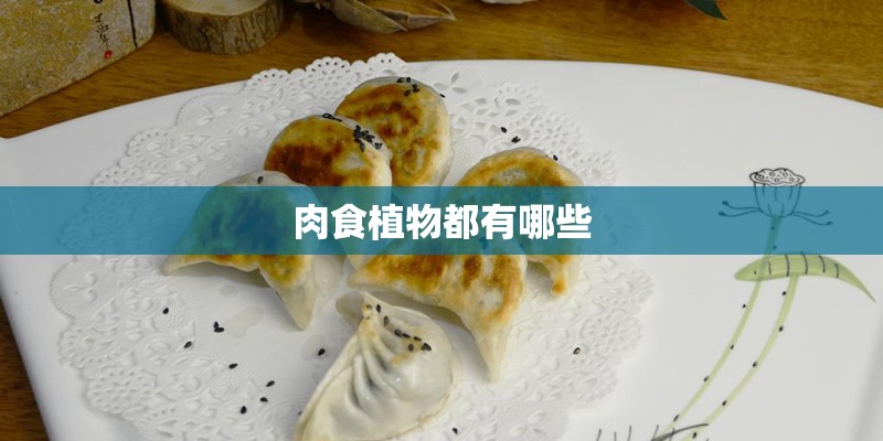 肉食植物都有哪些