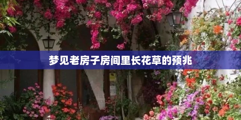梦见老房子房间里长花草的预兆