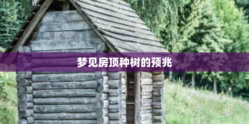 梦见房顶种树的预兆