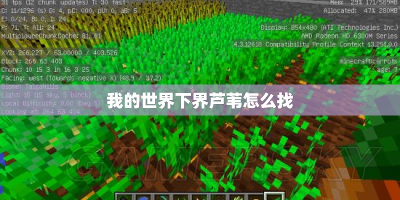 我的世界下界芦苇怎么找