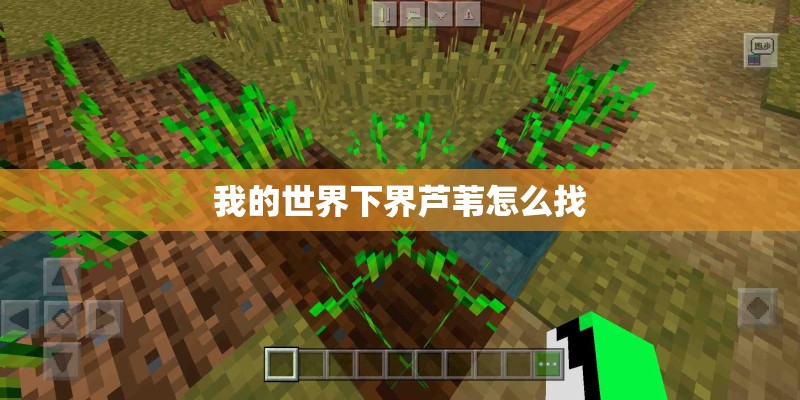 我的世界下界芦苇怎么找