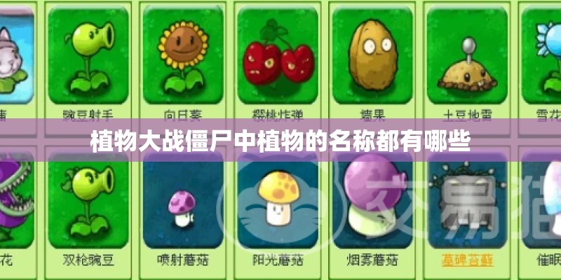 植物大战僵尸中植物的名称都有哪些