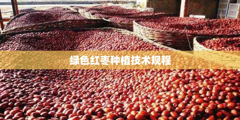 绿色红枣种植技术规程