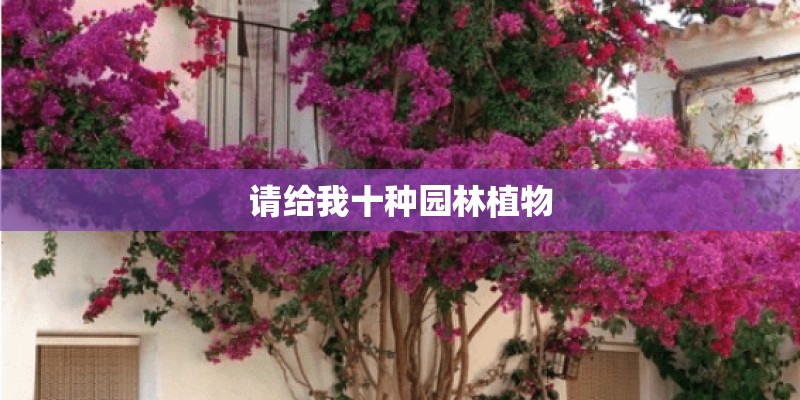 请给我十种园林植物