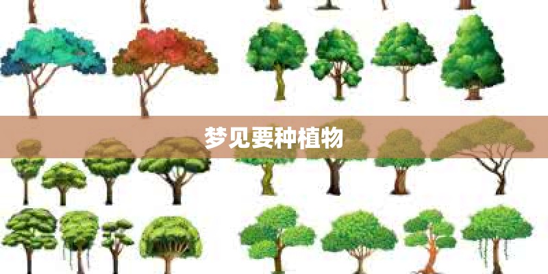 梦见要种植物