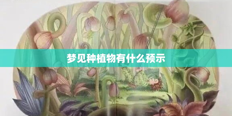 梦见种植物有什么预示