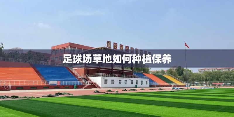 足球场草地如何种植保养