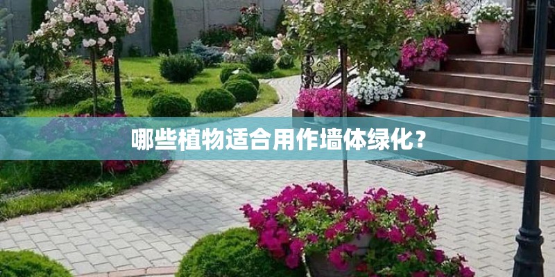 哪些植物适合用作墙体绿化？